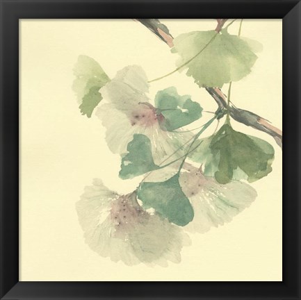 Framed Gingko Leaves II Print