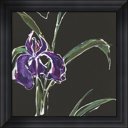 Framed Iris on Black II Print