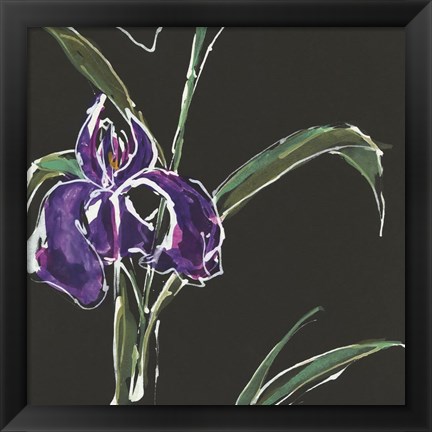 Framed Iris on Black II Print