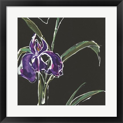 Framed Iris on Black II Print