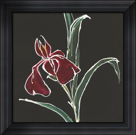 Framed Iris on Black V Print