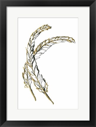 Framed Gilded Hackles Feather Print