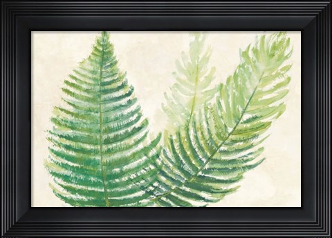 Framed Ferns Square III v2 on Cream Print