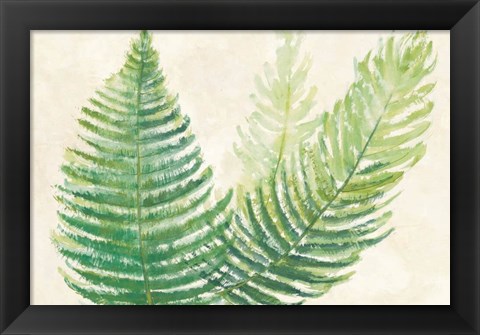 Framed Ferns Square III v2 on Cream Print