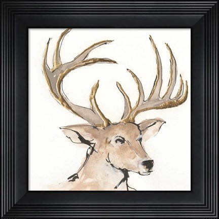 Framed Gilded Mule Deer Print