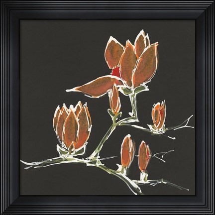 Framed Magnolia on Black IV Print
