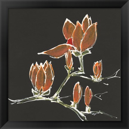 Framed Magnolia on Black IV Print