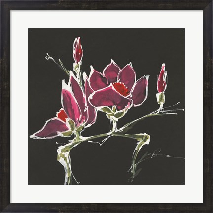 Framed Magnolia on Black III Print