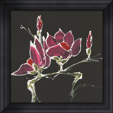 Framed Magnolia on Black III Print
