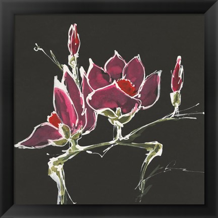 Framed Magnolia on Black III Print