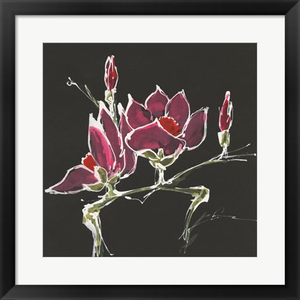 Framed Magnolia on Black III Print