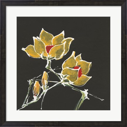 Framed Magnolia on Black II Print