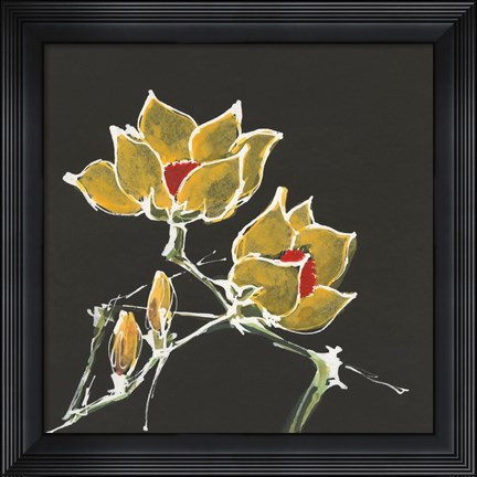 Framed Magnolia on Black II Print