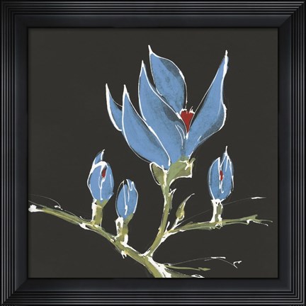 Framed Magnolia on Black I Print
