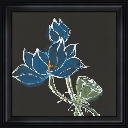 Framed Lotus on Black VII Print