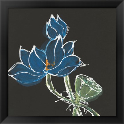 Framed Lotus on Black VII Print