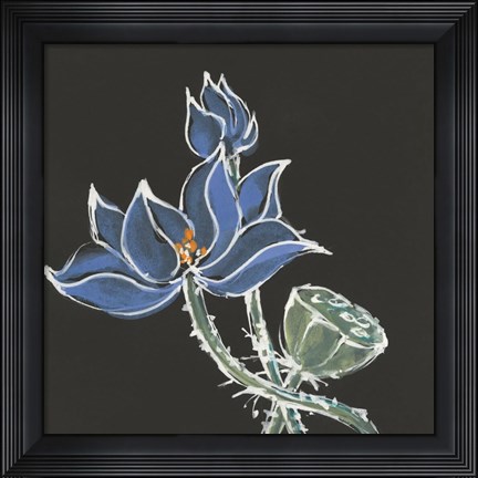 Framed Lotus on Black VI Print
