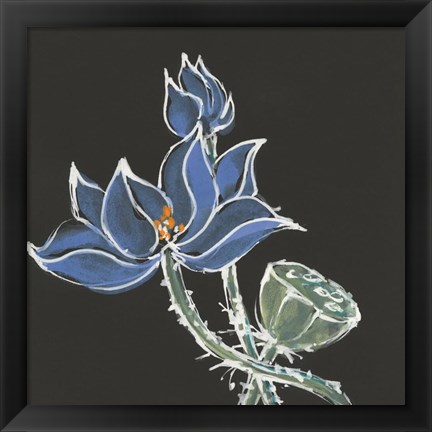 Framed Lotus on Black VI Print