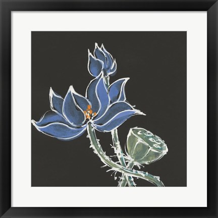 Framed Lotus on Black VI Print