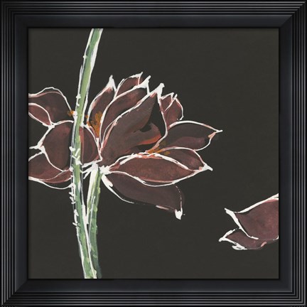 Framed Lotus on Black V Print