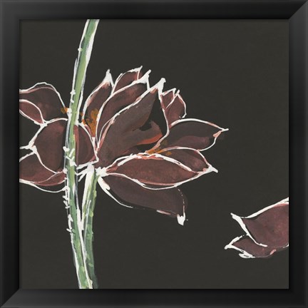 Framed Lotus on Black V Print