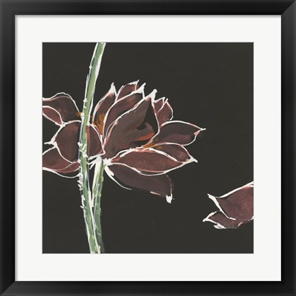 Framed Lotus on Black V Print