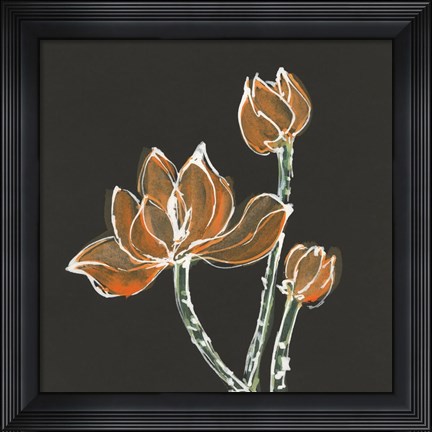 Framed Lotus on Black IV Print