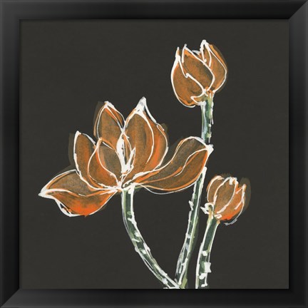 Framed Lotus on Black IV Print