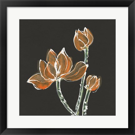 Framed Lotus on Black IV Print