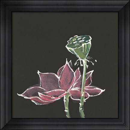 Framed Lotus on Black III Print