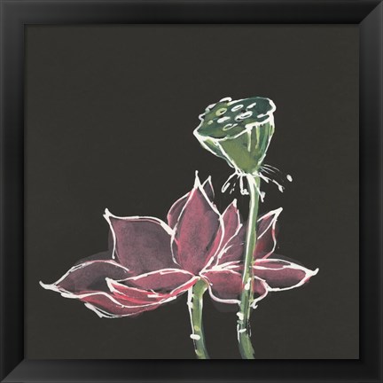 Framed Lotus on Black III Print