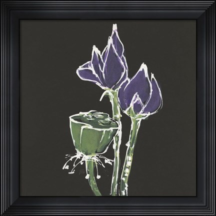 Framed Lotus on Black II Print