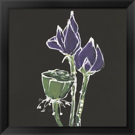 Framed Lotus on Black II Print