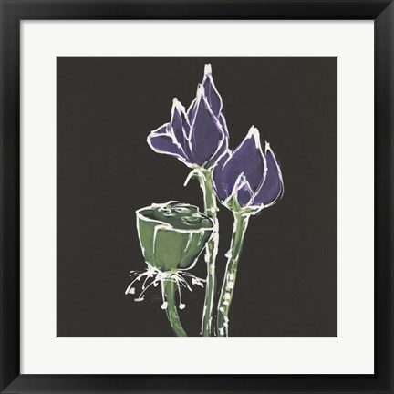 Framed Lotus on Black II Print