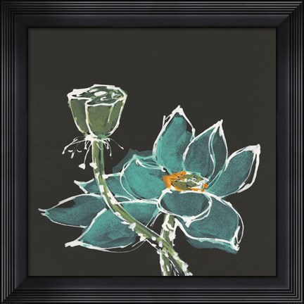 Framed Lotus on Black I Print