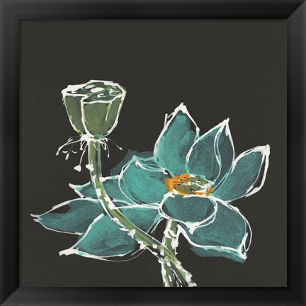 Framed Lotus on Black I Print