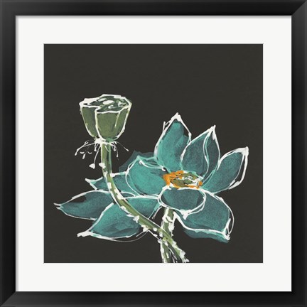 Framed Lotus on Black I Print