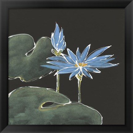 Framed Lily on Black V Print