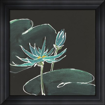 Framed Lily on Black IV Print