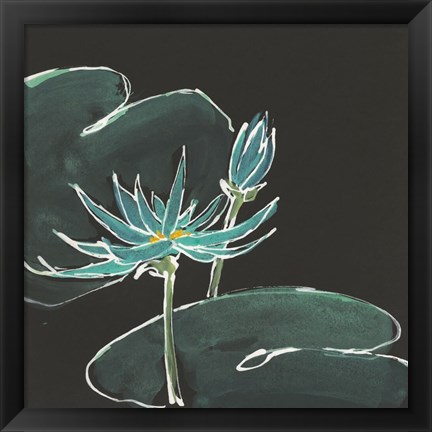 Framed Lily on Black IV Print