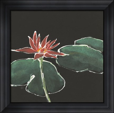 Framed Lily on Black III Print
