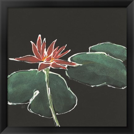 Framed Lily on Black III Print