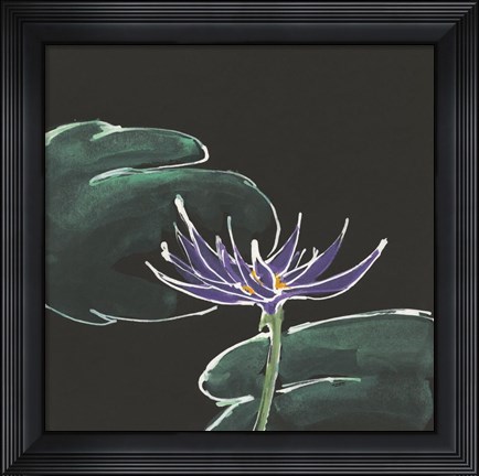 Framed Lily on Black II Print
