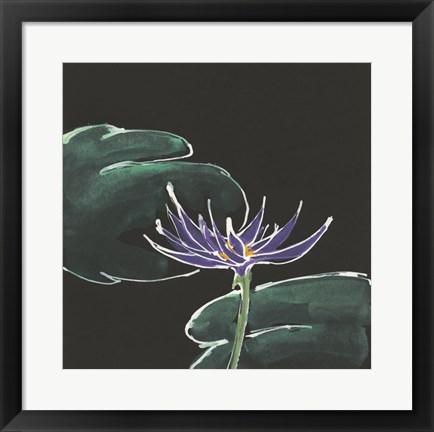 Framed Lily on Black II Print