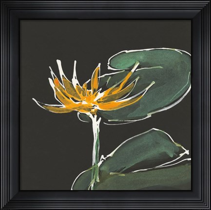 Framed Lily on Black I Print