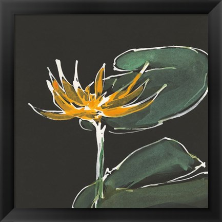 Framed Lily on Black I Print