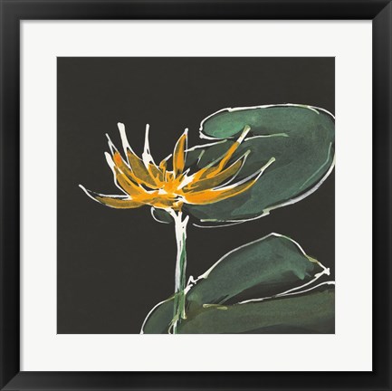 Framed Lily on Black I Print