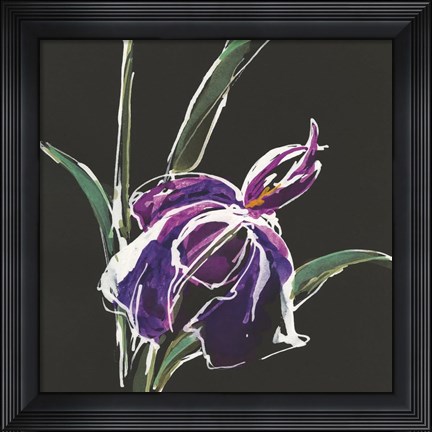 Framed Iris on Black III Print