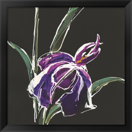 Framed Iris on Black III Print