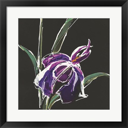 Framed Iris on Black III Print